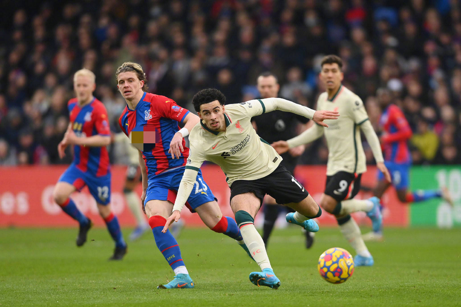 迷感到意外 迷感到意外